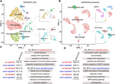 Identification of a Recurrence Gene Signature for Ovarian Cancer Prognosis by Integrating Single-Cell RNA Sequencing and Bulk Expression Datasets